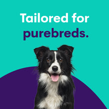 Carica l&#39;immagine nel visualizzatore di Gallery, Purebred Dog Full Breed Profile
