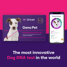 Carica l&#39;immagine nel visualizzatore di Gallery, Geno Pet Dog Breed Identification DNA test
