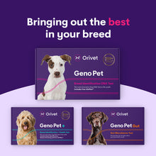 Carica l&#39;immagine nel visualizzatore di Gallery, Geno Pet Dog Breed Identification DNA test
