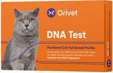 Carica l&#39;immagine nel visualizzatore di Gallery, Purebred Cat Full Breed Profile
